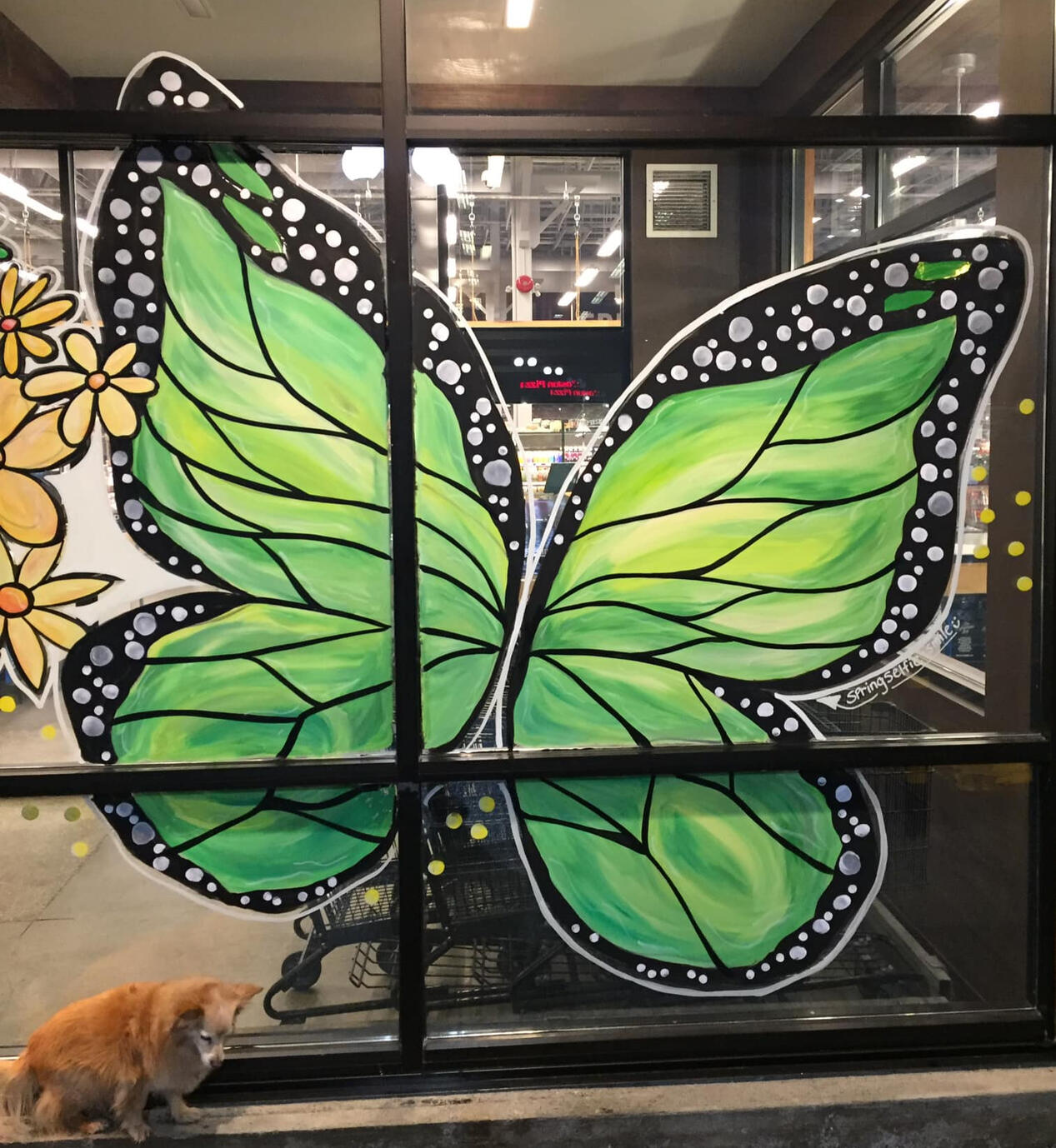 Sparkle by Sylvia Window Mural Painter-Artist